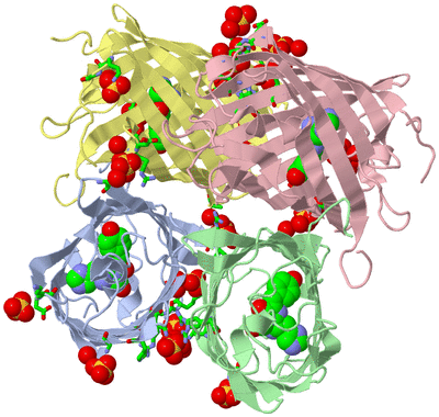 Image Asym./Biol. Unit - sites