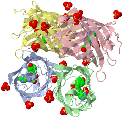 Image Asym./Biol. Unit