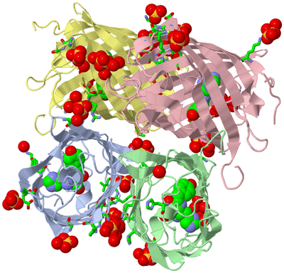 Image Asym./Biol. Unit - sites