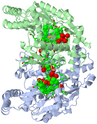 Image Asym./Biol. Unit - sites