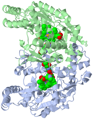 Image Asym./Biol. Unit