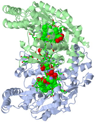 Image Asym./Biol. Unit - sites