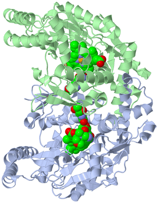 Image Asym./Biol. Unit