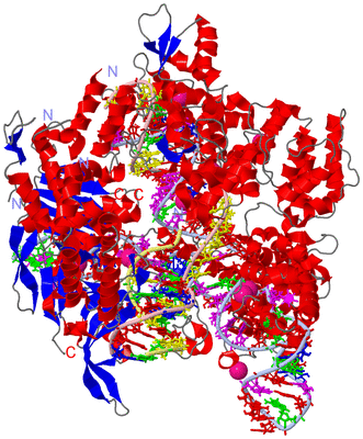 Image Asym./Biol. Unit