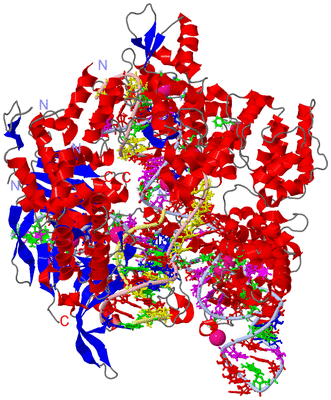 Image Asym./Biol. Unit - sites