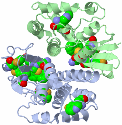 Image Asym./Biol. Unit