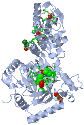 Image Biol. Unit 1 - sites