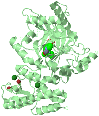 Image Biological Unit 2