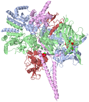 Image Asym./Biol. Unit