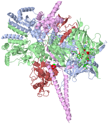 Image Asym./Biol. Unit - sites