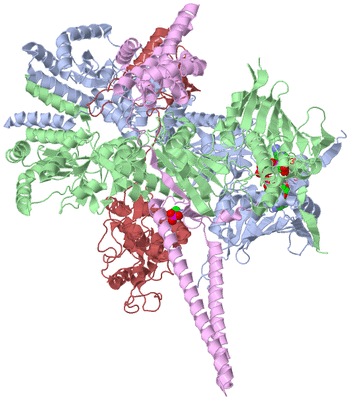 Image Asym./Biol. Unit