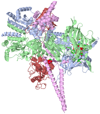 Image Asym./Biol. Unit - sites