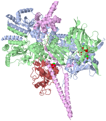 Image Asym./Biol. Unit