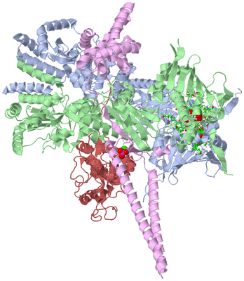 Image Asym./Biol. Unit - sites