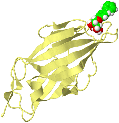 Image Biological Unit 4