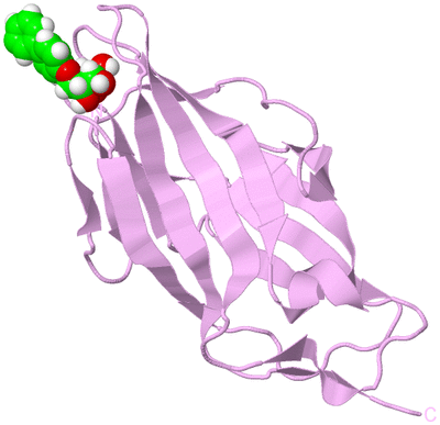 Image Biological Unit 5