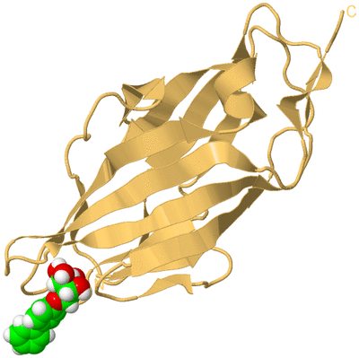 Image Biological Unit 7