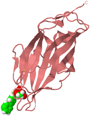 Image Biological Unit 8