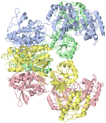 Image Asym./Biol. Unit