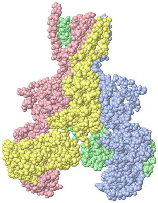 Image Asym./Biol. Unit