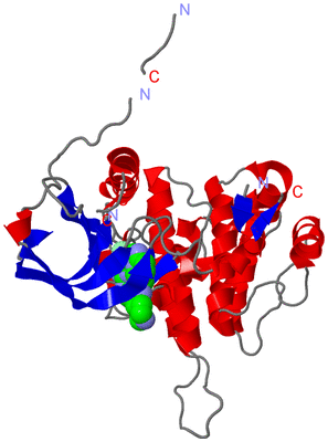 Image Asym./Biol. Unit