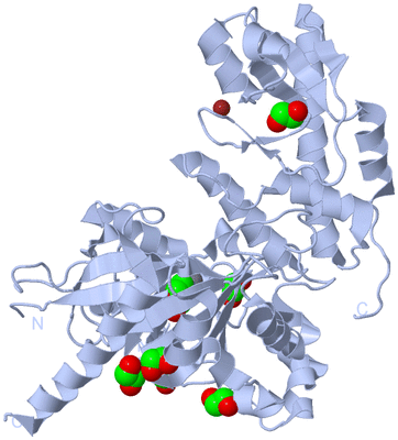 Image Biological Unit 1