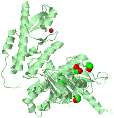 Image Biological Unit 2