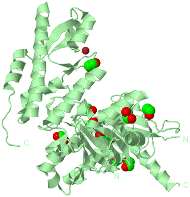 Image Biological Unit 2