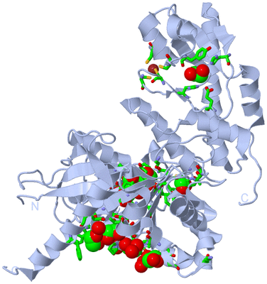 Image Biol. Unit 1 - sites