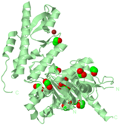 Image Biological Unit 2