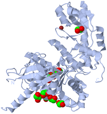 Image Biological Unit 1