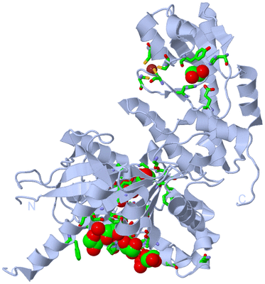 Image Biol. Unit 1 - sites