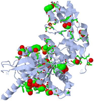 Image Biol. Unit 1 - sites