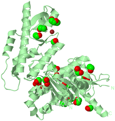 Image Biological Unit 2