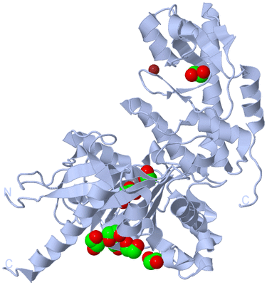 Image Biological Unit 1