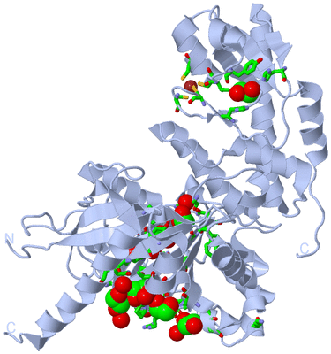 Image Biol. Unit 1 - sites