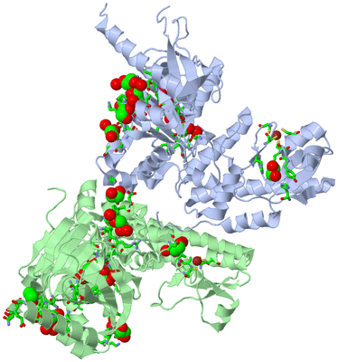 Image Asym. Unit - sites