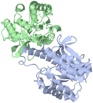 Image Asym./Biol. Unit