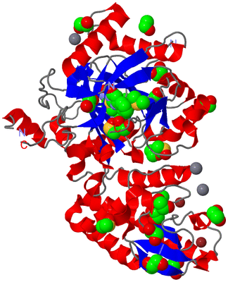 Image Asym./Biol. Unit