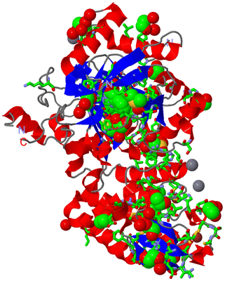 Image Asym./Biol. Unit - sites