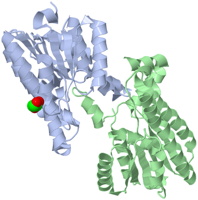 Image Asym./Biol. Unit