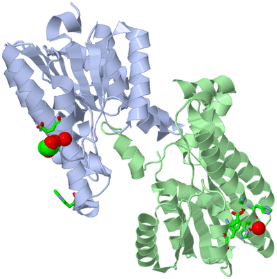 Image Asym./Biol. Unit - sites