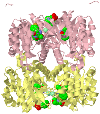 Image Biological Unit 1