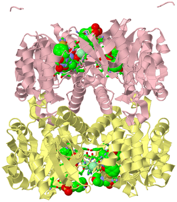 Image Biol. Unit 1 - sites