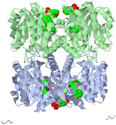 Image Biological Unit 2