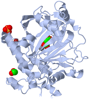 Image Biological Unit 1