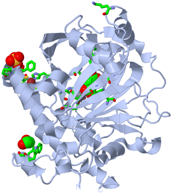 Image Biol. Unit 1 - sites