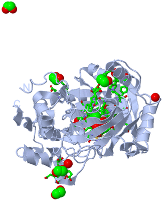 Image Biol. Unit 1 - sites