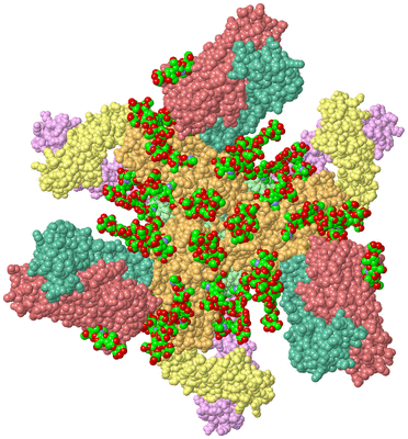 Image Biological Unit 1