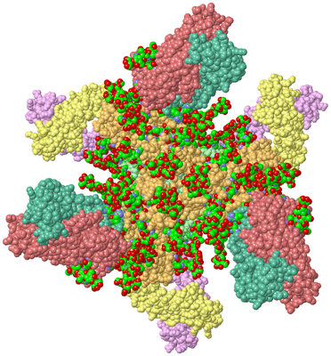 Image Biol. Unit 1 - sites